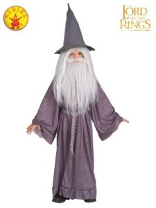 GANDALF WIG BEARD SET