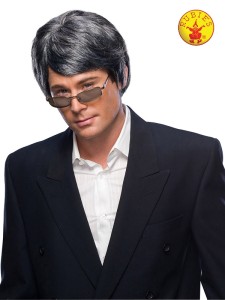 GREY MENS WIG ADULT