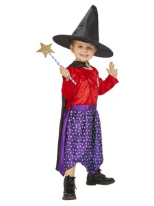 Julia Donaldson Room On The Broom Costume v2