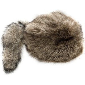trapper hat